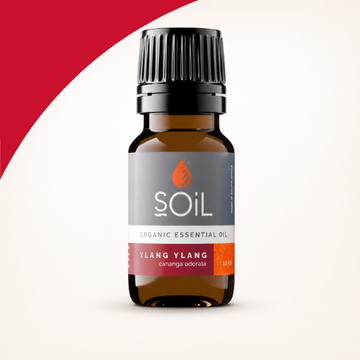Organic Oil Products - Online Beauty Cart