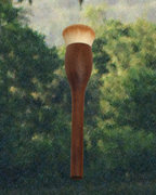 Dry Shampoo Brush